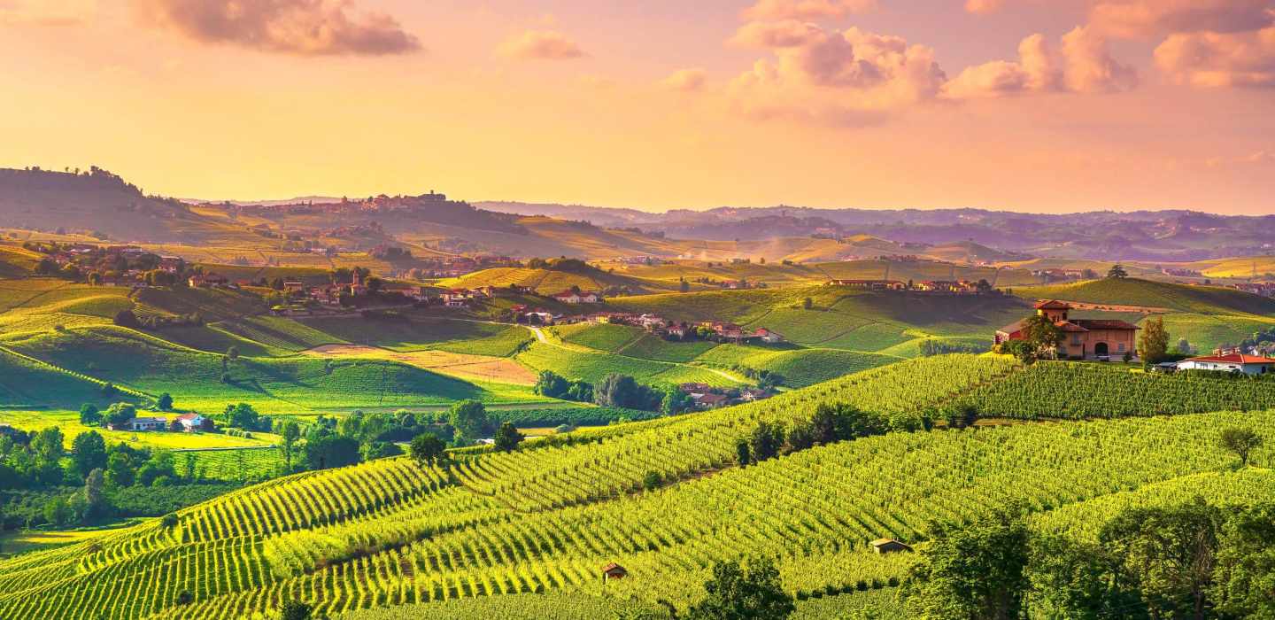 The BEST Langhe Night tours 2023 - FREE Cancellation | GetYourGuide