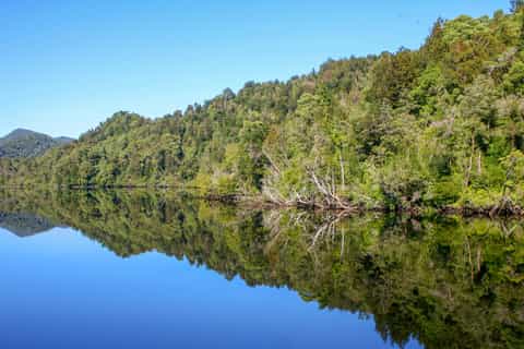 Gordon River