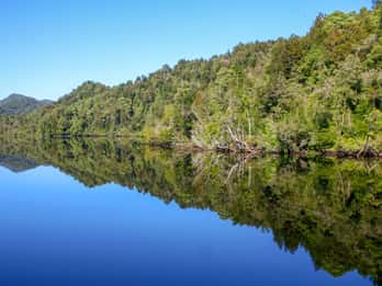 Gordon River Tours & Tickets