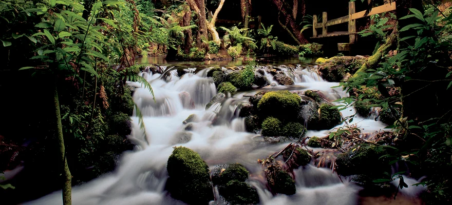 Rainbow Springs Nature Park