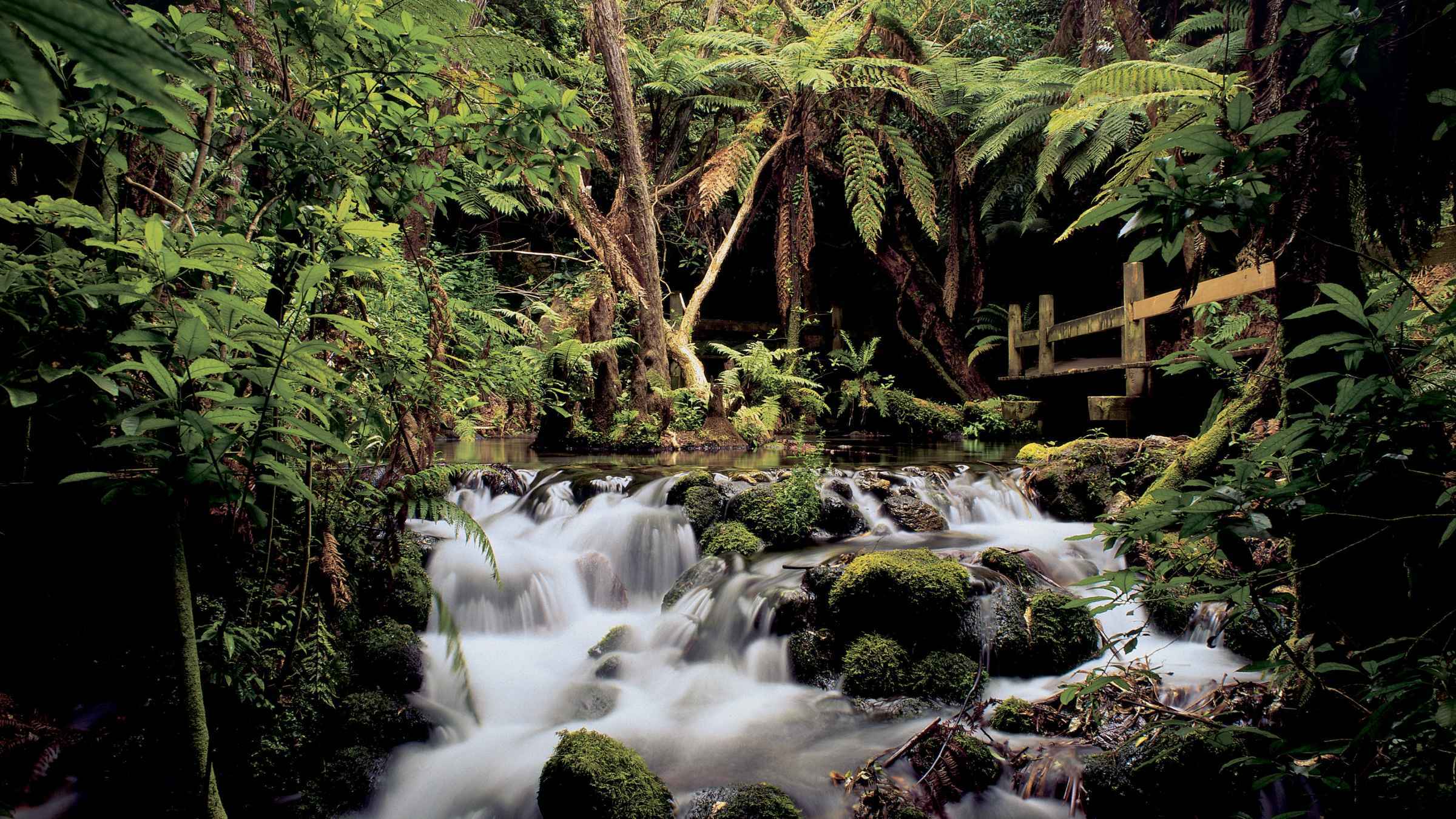 Rainbow Park, Rotorua - Book Tickets &