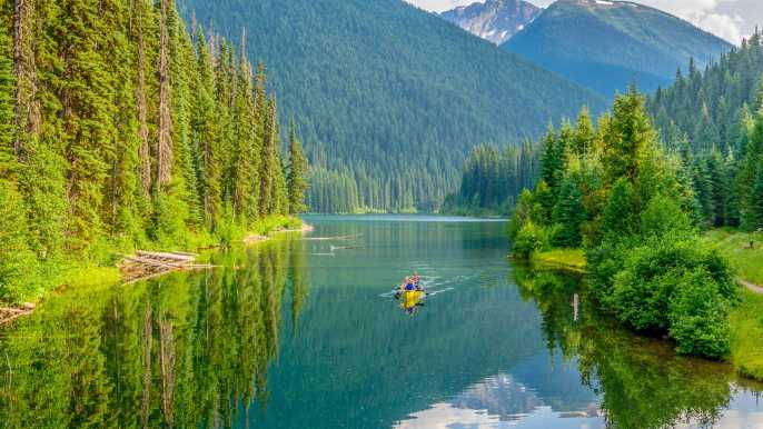 Utålelig Twisted Bølle British Columbia 2022: Top 10 Tours & Activities (with Photos) - Things to  Do in British Columbia, Canada | GetYourGuide