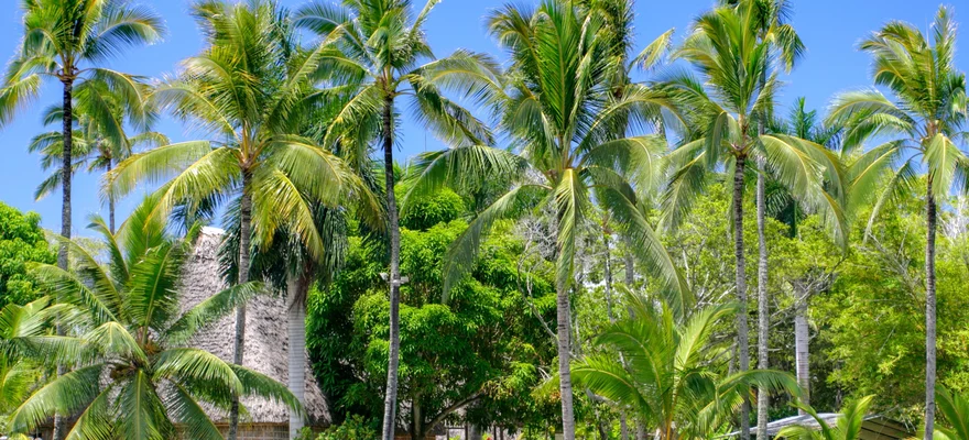 Polynesian Cultural Center