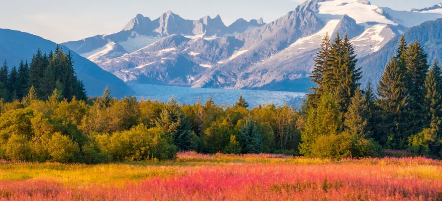 De BESTE Zomeractiviteiten In Juneau Van 2024 GRATIS Annuleren   49 