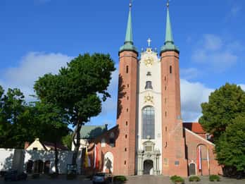 Catedral de Oliwa: Tours y Entradas