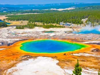 Yellowstone National Park Tours & Tickets