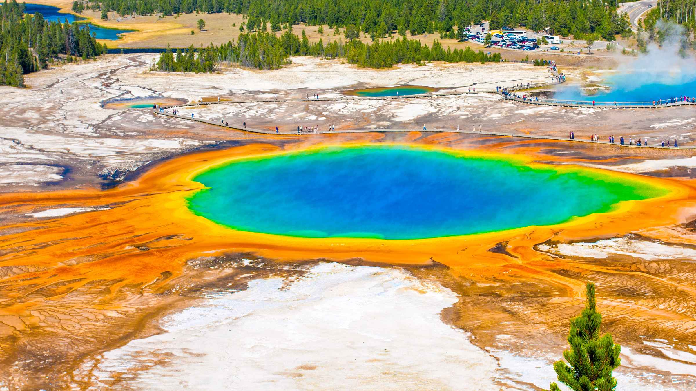 The BEST Yellowstone National Park Walking Tours 2022 FREE 