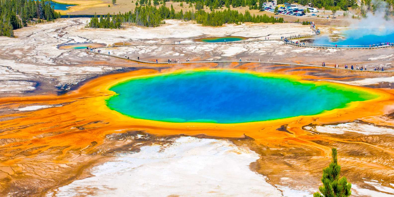 The BEST Yellowstone National Park Viewing points 2024  FREE Cancellation |