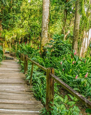 Garden of the Sleeping Giant