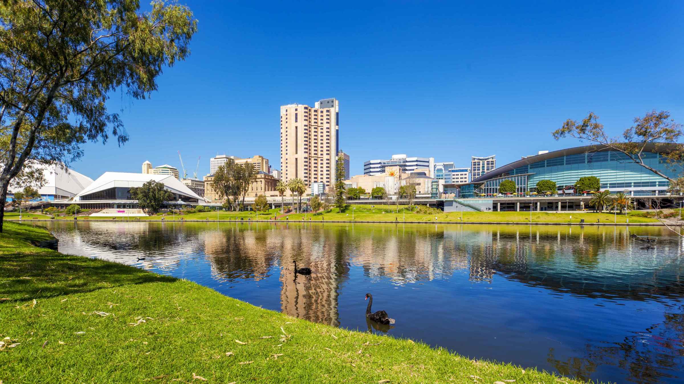 adelaide sightseeing tours