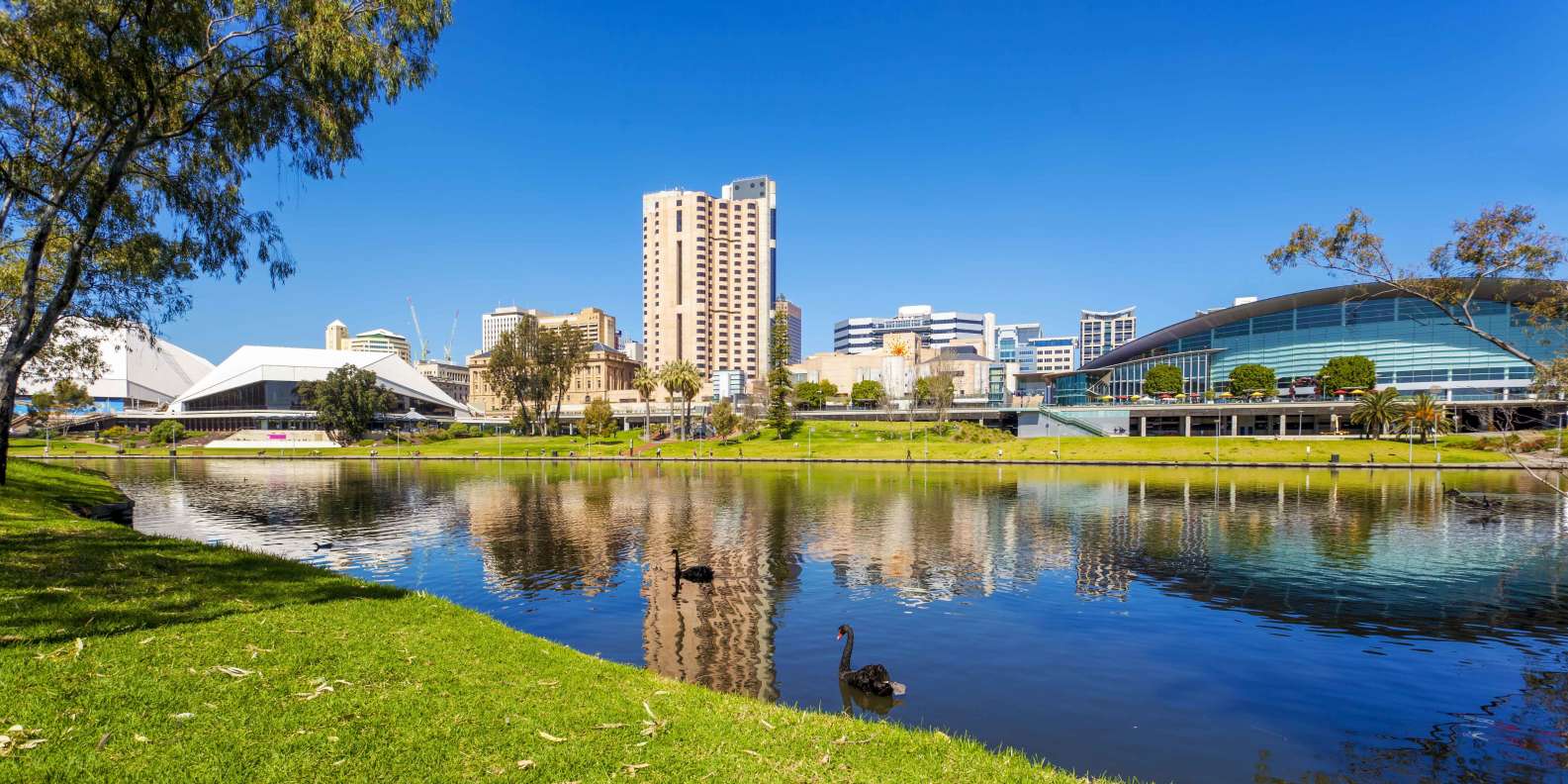 The BEST Adelaide Safaris & wildlife activities 2024  FREE Cancellation |