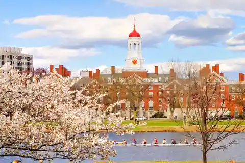 2. Harvard University