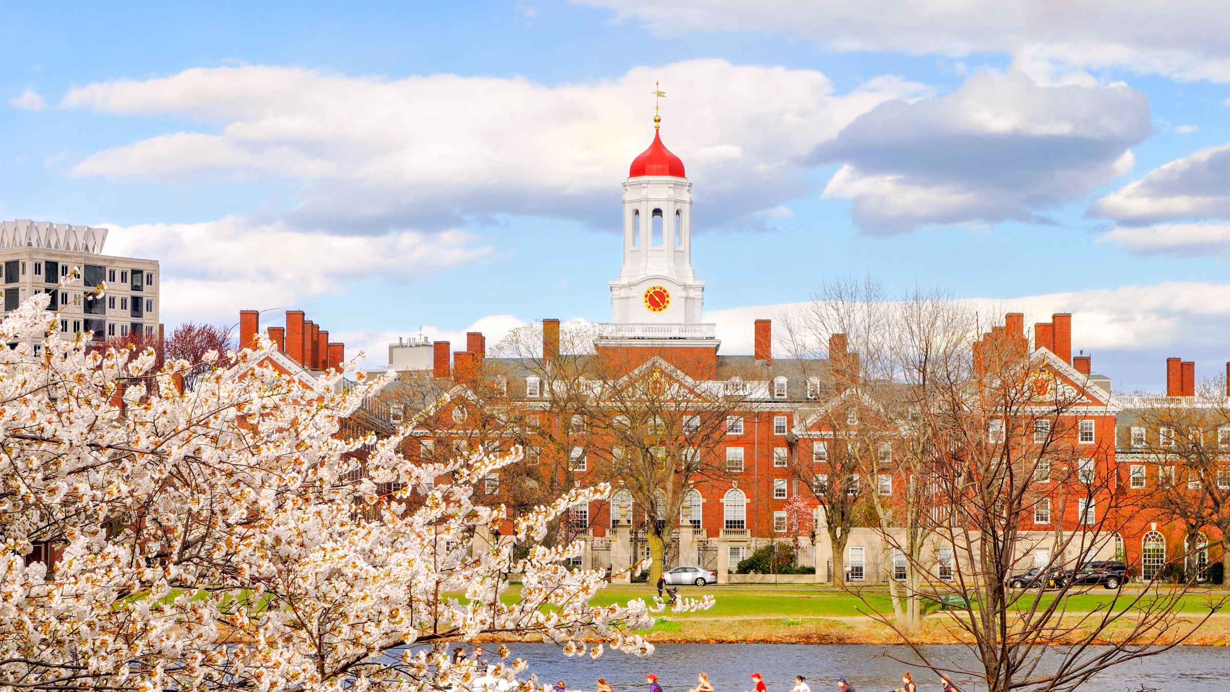 harvard admission tour