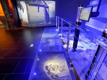 Rynek Underground Tours & Tickets