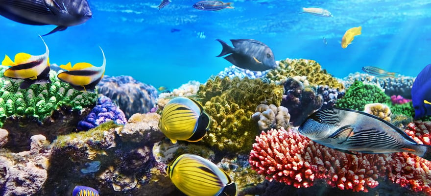 Maui Ocean Center, Maalaea - Book Tickets & Tours | GetYourGuide