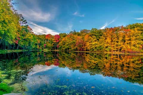 The best Pennsylvania Family-friendly activities 2026 - GetYourGuide