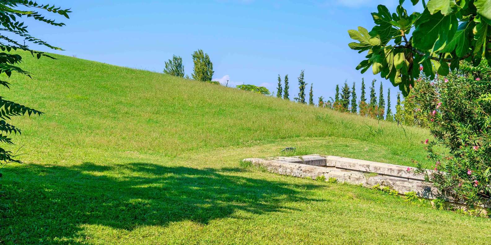 Gita di 1 giorno da Verghina GetYourGuide