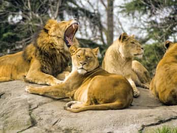 Woodland Park Zoo Woodland Park Zoo