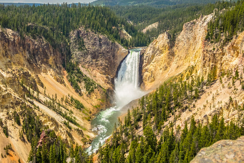 おすすめイエローストーン国立公園観光スポット | ゲットユアガイド