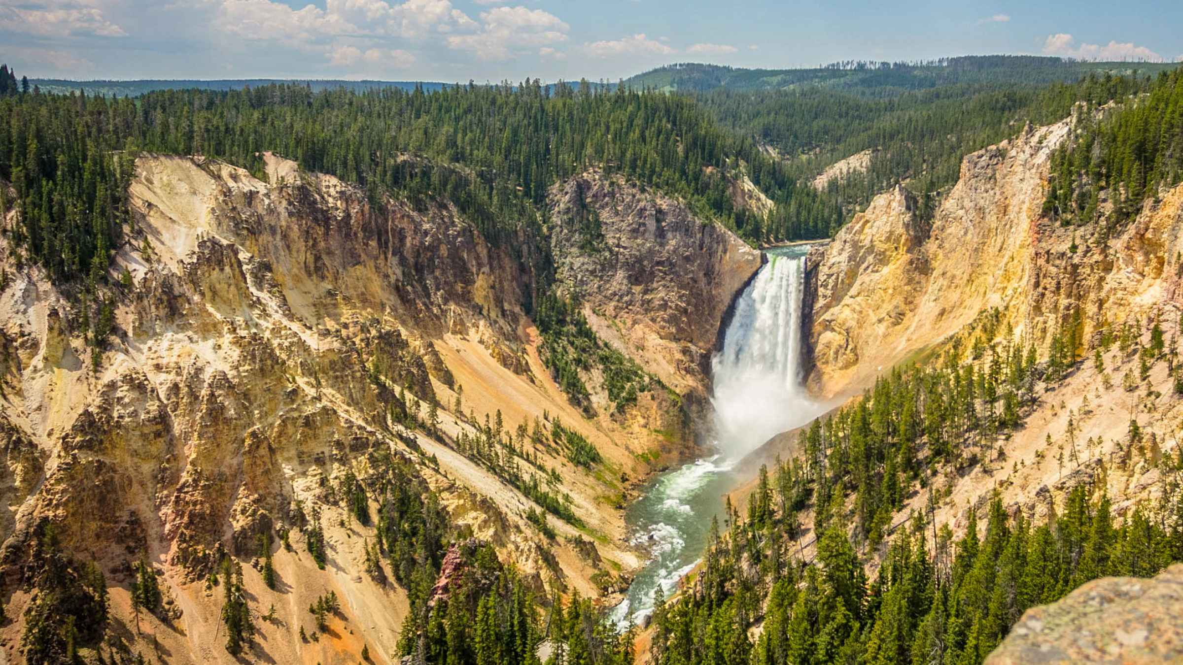 tours of yellowstone national park