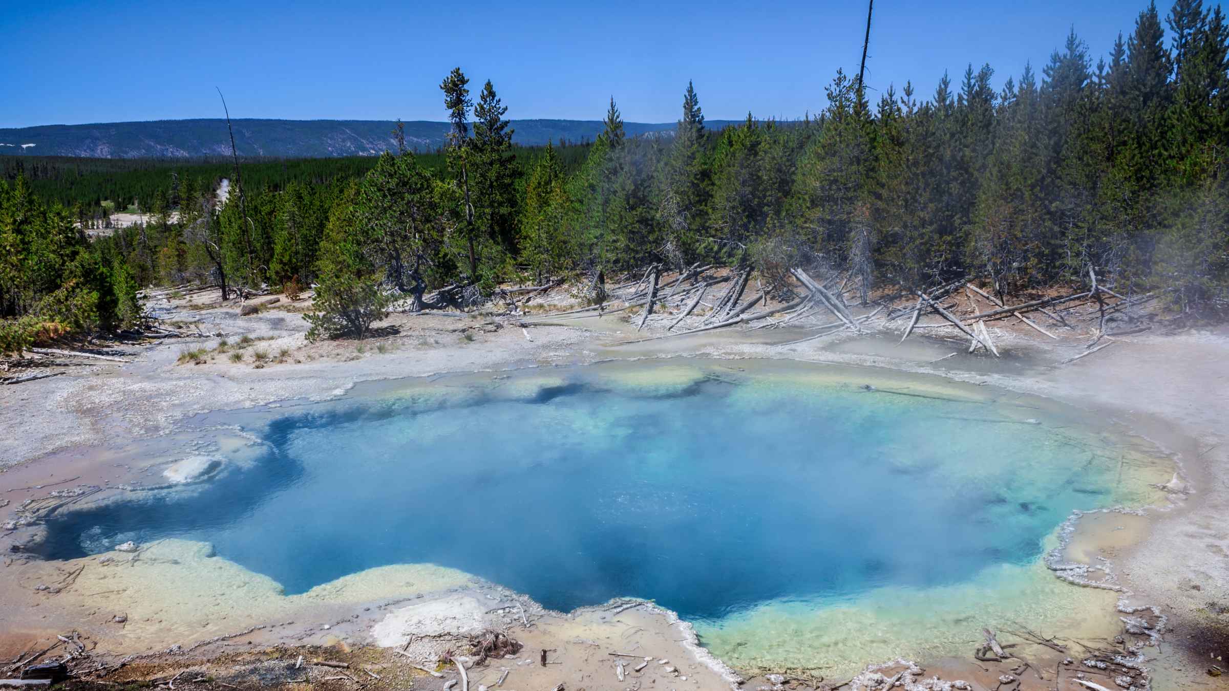 Norris Geyser Basin, Wyoming Book Tickets & Tours GetYourGuide