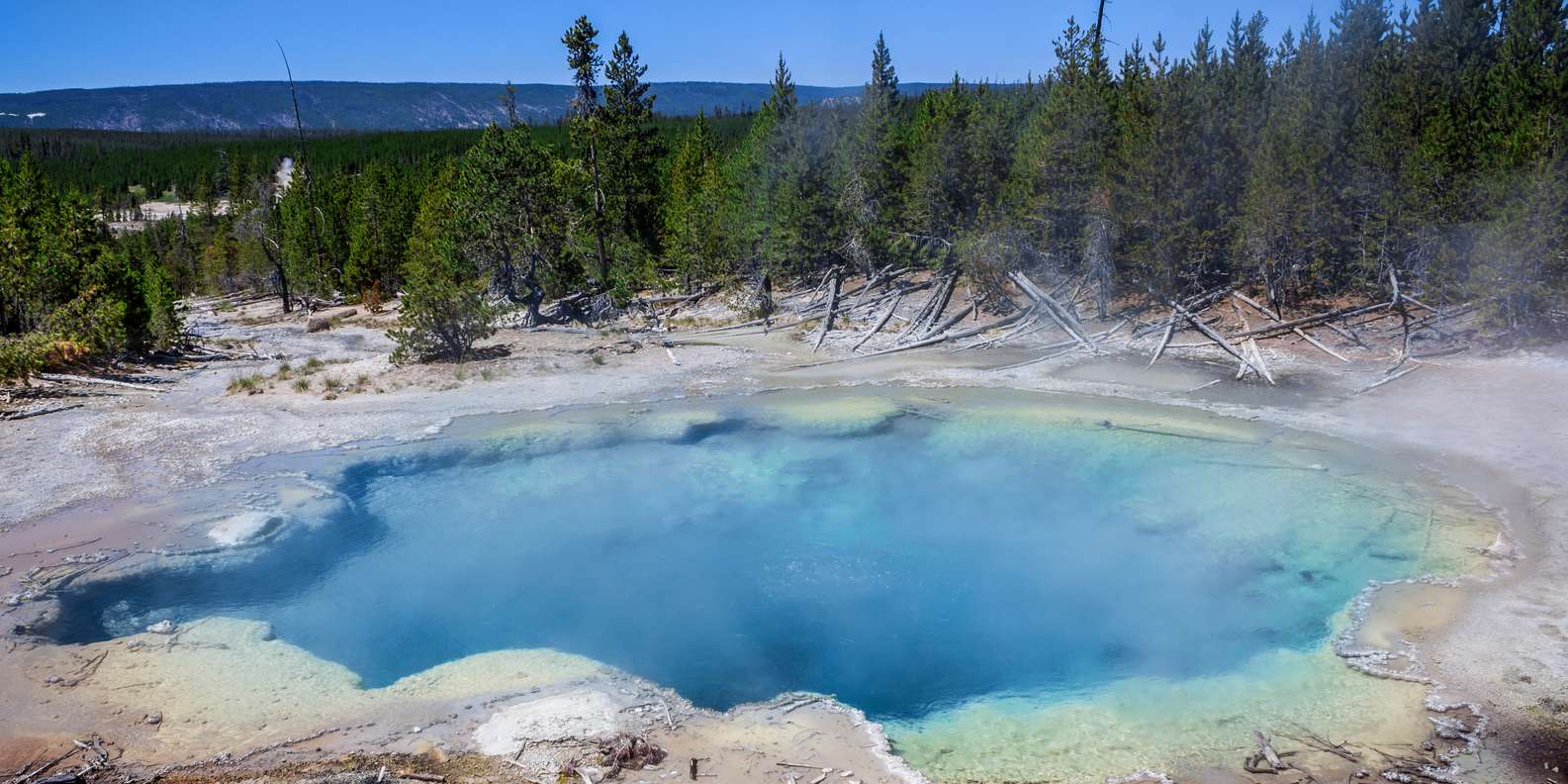 BESTE Führungen Norris Geysir Becken 2023 KOSTENLOS stornierbar