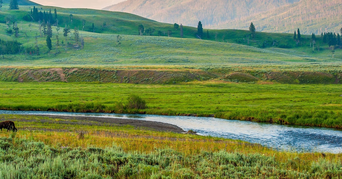 Lamar Valley, Book Tickets & Tours