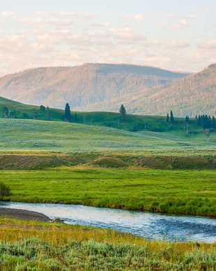 Lamar Valley