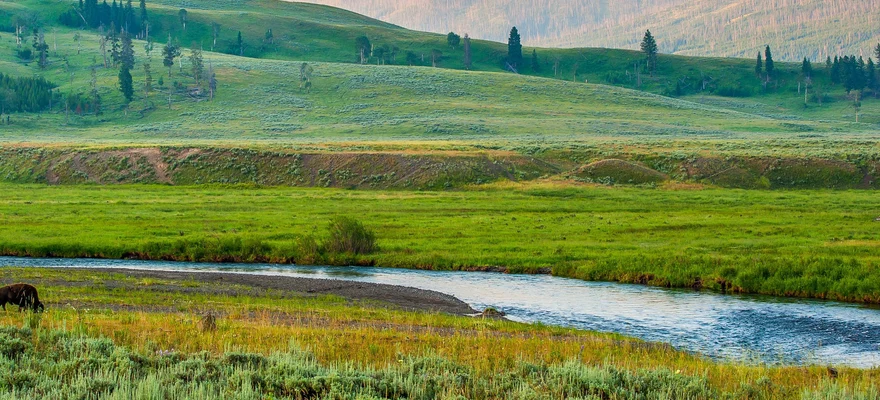 Lamar Valley