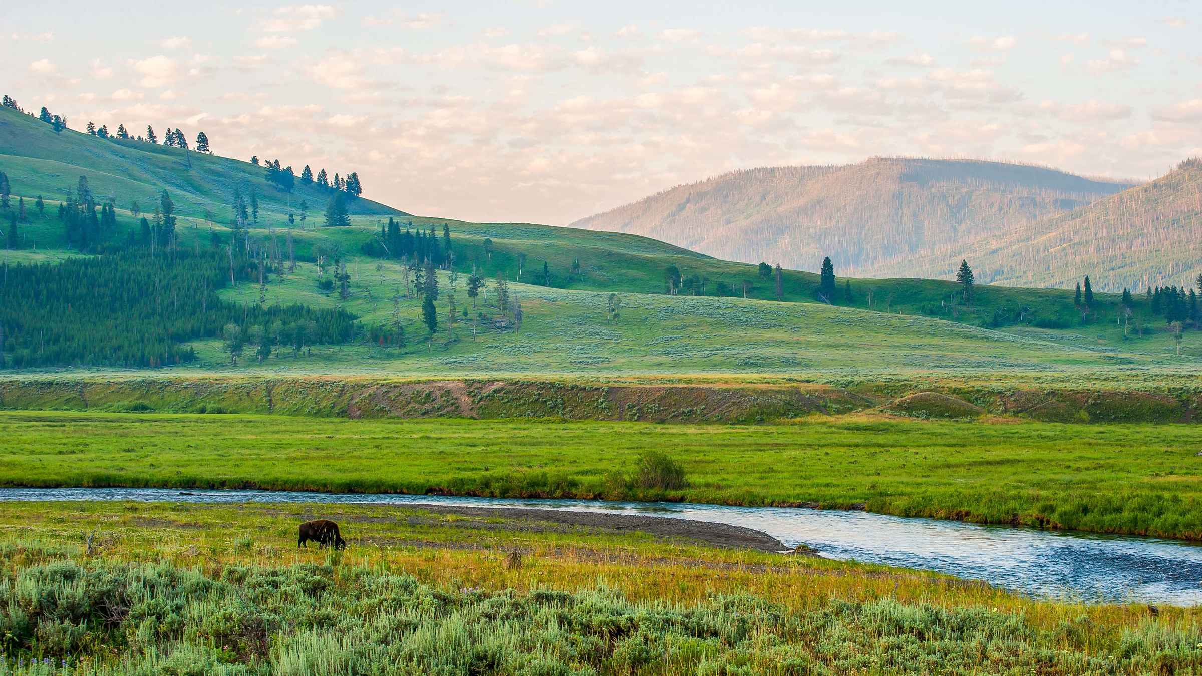 Lamar Valley Wyoming R Servez Des Tickets Pour Votre Visite   88 