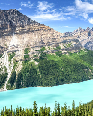 Peyto Lake, Banff National Park - Book Tickets & Tours | GetYourGuide