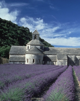 Abbaye Notre-Dame de Sénanque