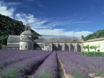 Sénanque Abbey Tours & Tickets
