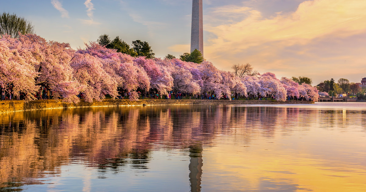 Potomac River, Washington, DC - Book Tickets & Tours | GetYourGuide.com