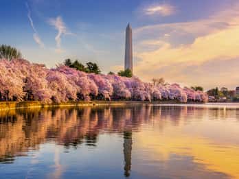 Potomac River Tours & Tickets