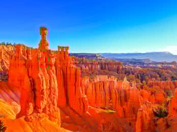 Bryce Canyon National Park Tours & Tickets