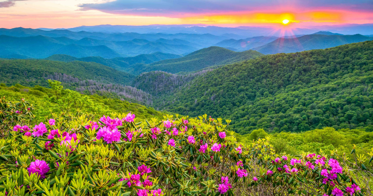 I 10 migliori tour di Carolina del Nord nel 2020 (con foto) Cose da