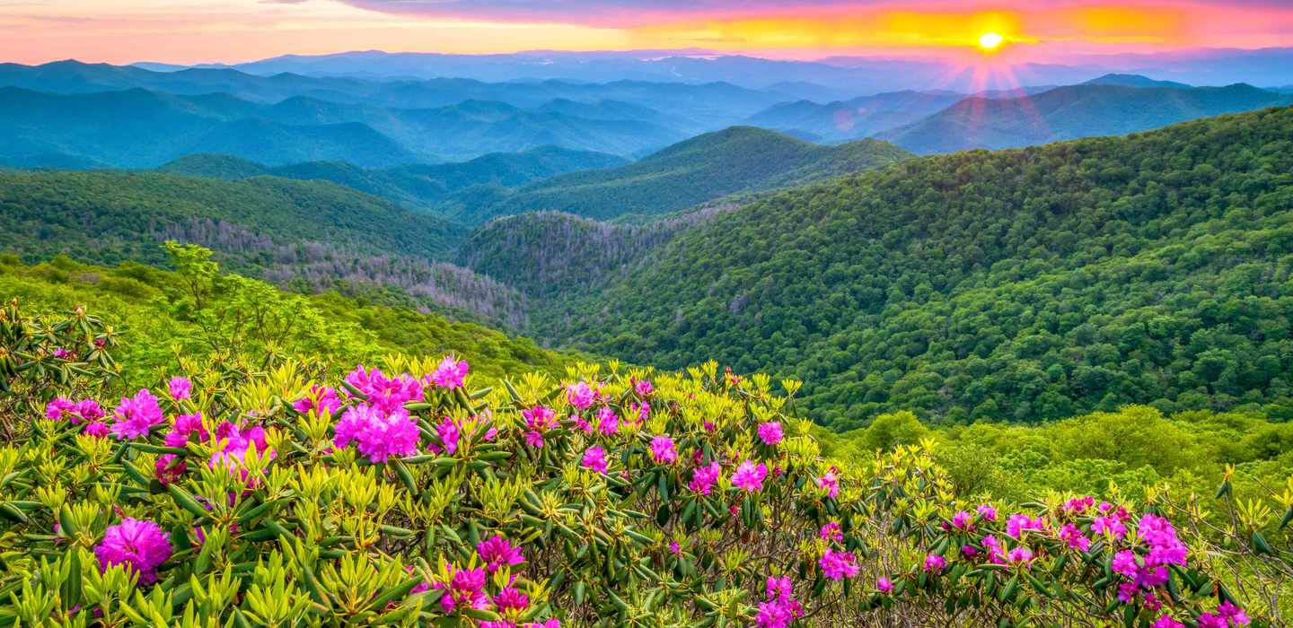 Carolina del Nord Tour il MEGLIO del 2024 Cancellazione GRATUITA