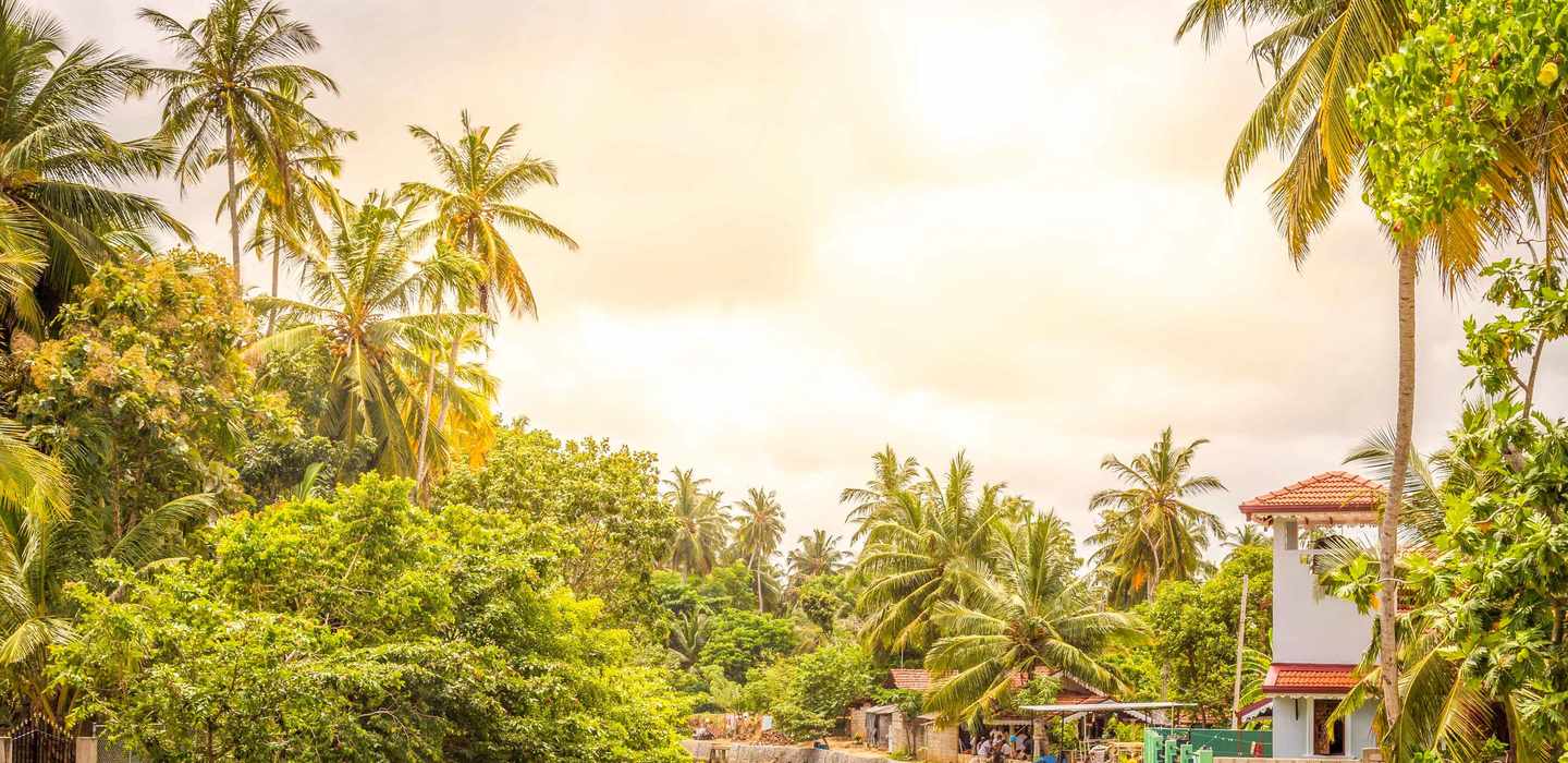 Dagsturer från Negombo Beach | GetYourGuide