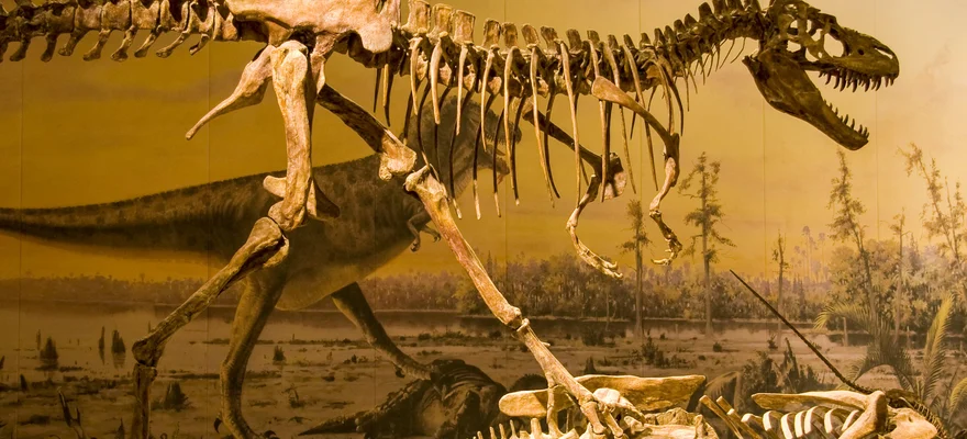 The Academy of Natural Sciences of Drexel University