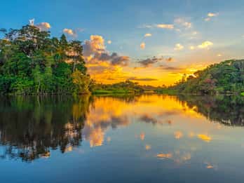 Manaus Manaus