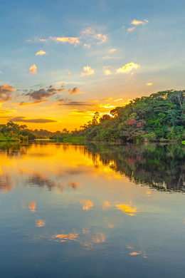 The BEST Manaus Tours and Things to Do in 2024 - FREE Cancellation ...