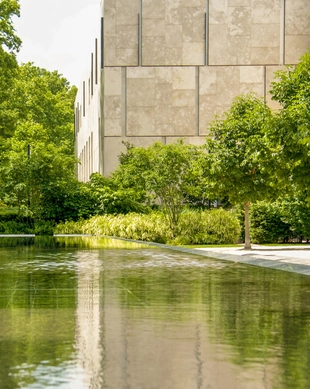 Barnes Foundation
