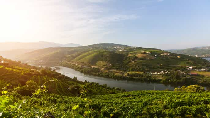 Da Valle Del Douro: Le Migliori 10 Escursioni Di Un Giorno Del 2021 ...