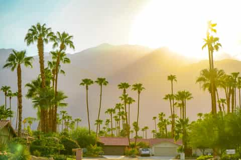 Styling Tips For a Picture-Perfect Palm Springs Trip — When She Roams