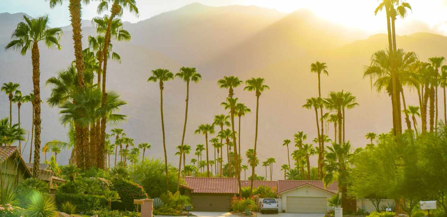 The BEST Palm Springs Sightseeing 2024 FREE Cancellation GetYourGuide