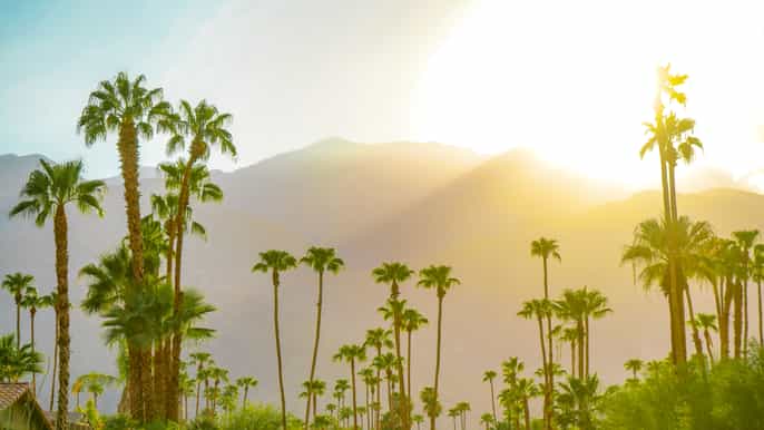 Day trip to Palm Springs