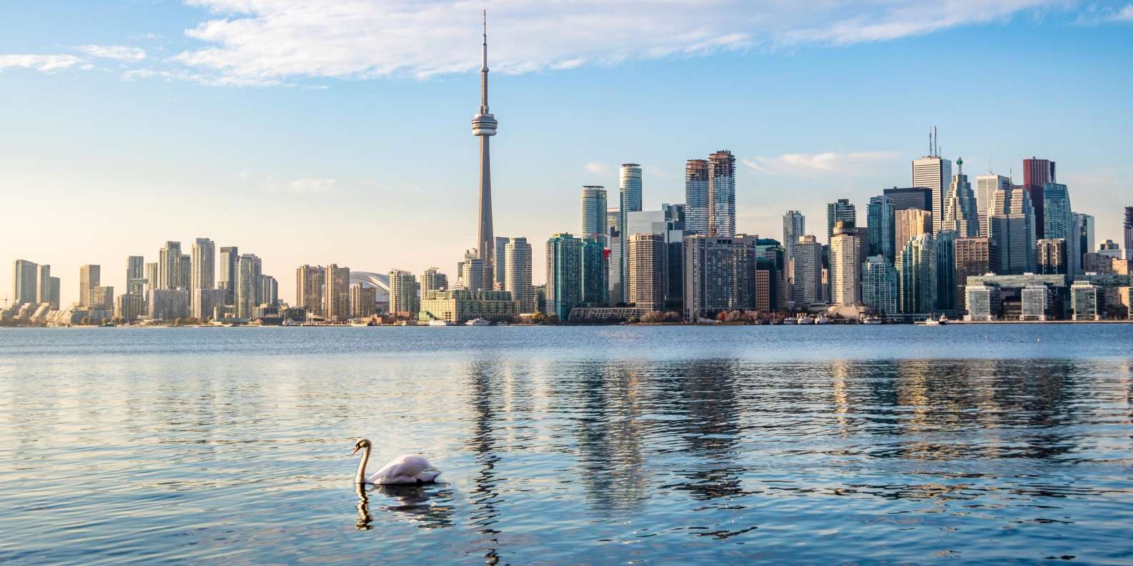 The BEST Toronto Activities 2023 - FREE Cancellation | GetYourGuide