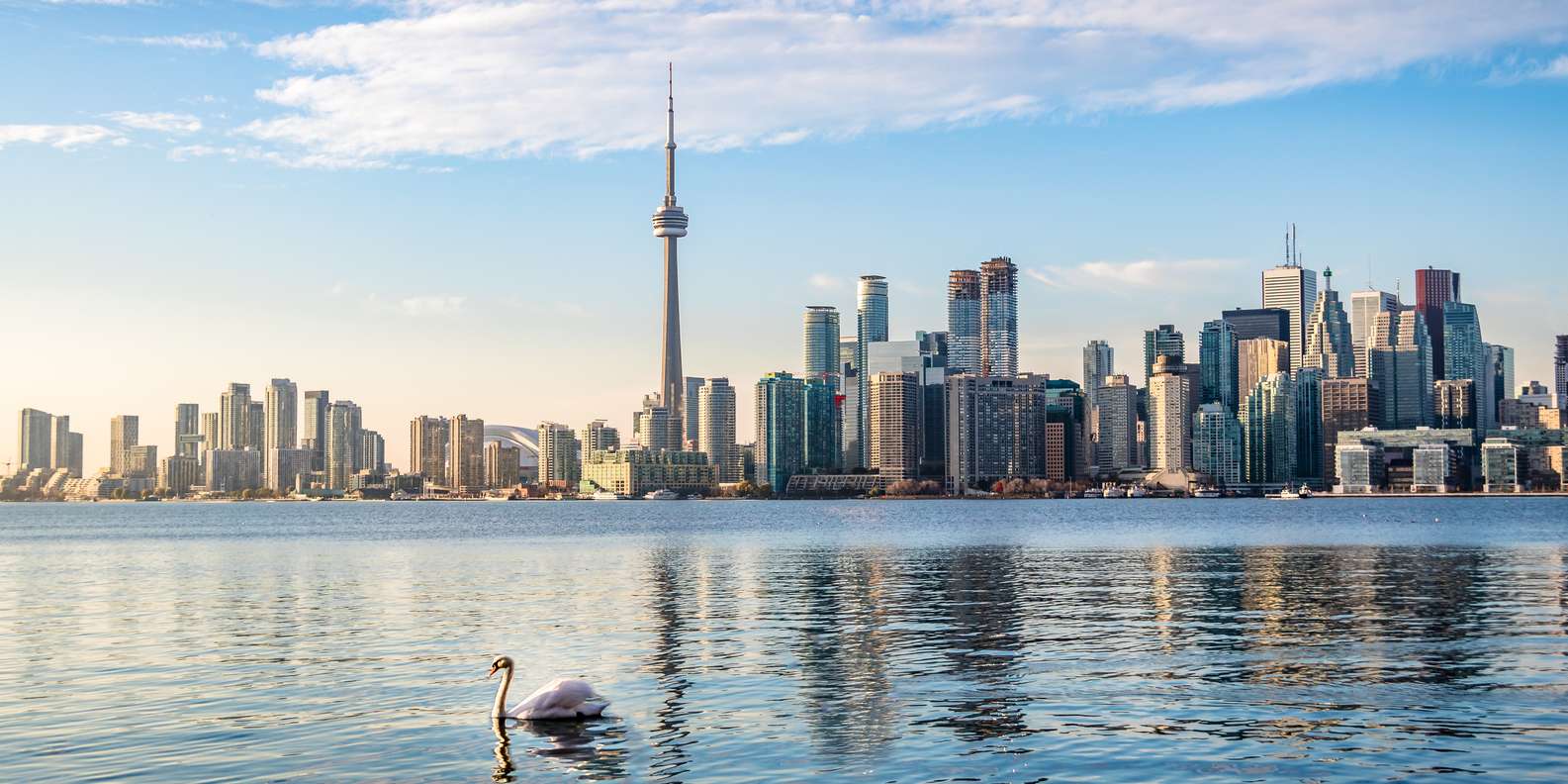 The BEST Toronto Activities 2023 - FREE Cancellation | GetYourGuide