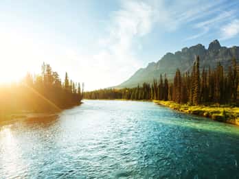 Bow River Tours & Tickets